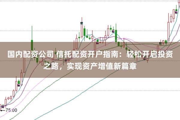 国内配资公司 信托配资开户指南：轻松开启投资之路，实现资产增值新篇章