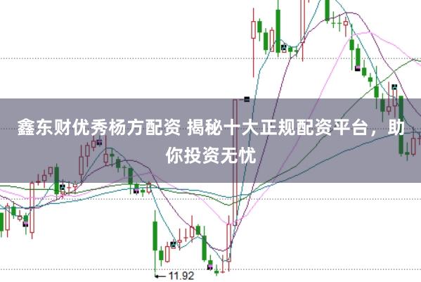 鑫东财优秀杨方配资 揭秘十大正规配资平台，助你投资无忧