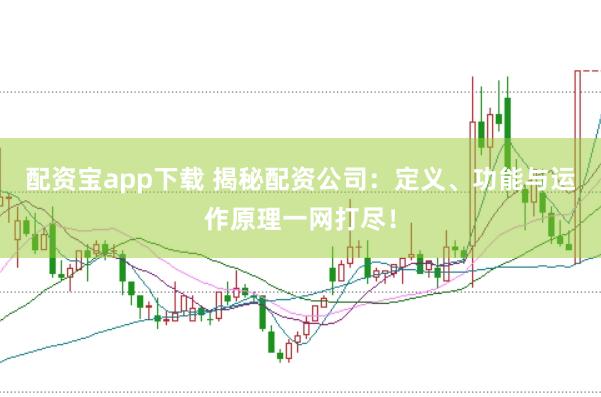 配资宝app下载 揭秘配资公司：定义、功能与运作原理一网打尽！