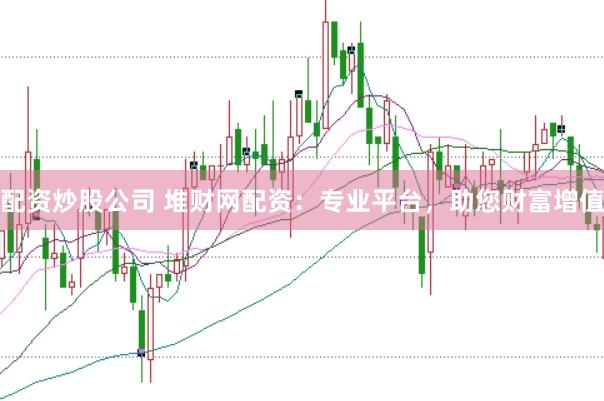 配资炒股公司 堆财网配资：专业平台，助您财富增值