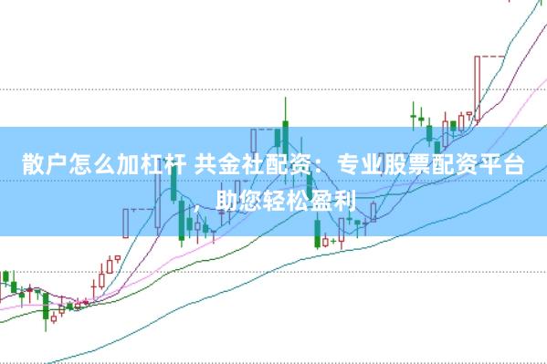 散户怎么加杠杆 共金社配资：专业股票配资平台，助您轻松盈利