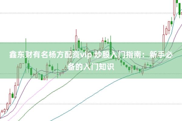 鑫东财有名杨方配资vip 炒股入门指南：新手必备的入门知识