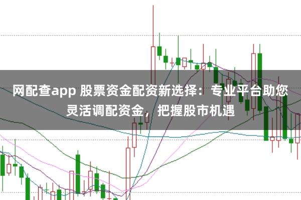 网配查app 股票资金配资新选择：专业平台助您灵活调配资金，把握股市机遇