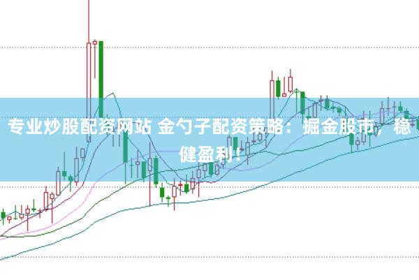 专业炒股配资网站 金勺子配资策略：掘金股市，稳健盈利！