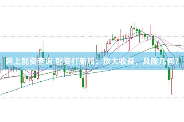 网上配资查询 配资打新股：放大收益，风险几何？