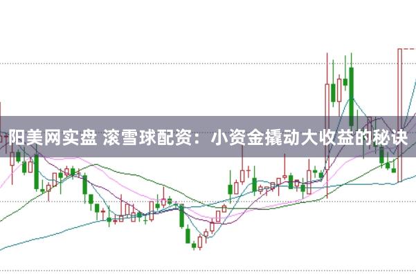 阳美网实盘 滚雪球配资：小资金撬动大收益的秘诀