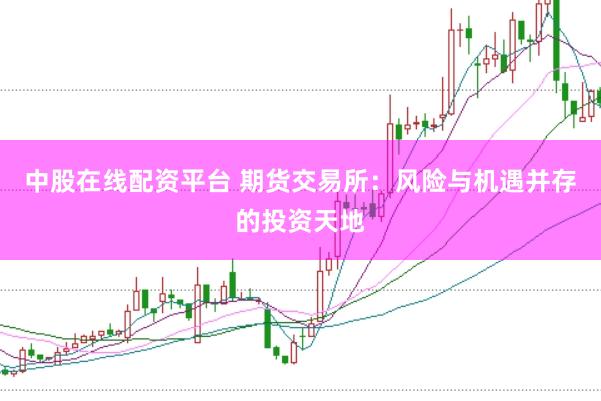 中股在线配资平台 期货交易所:风险与机遇并存的投资天地